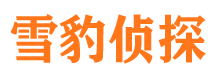 横县侦探公司